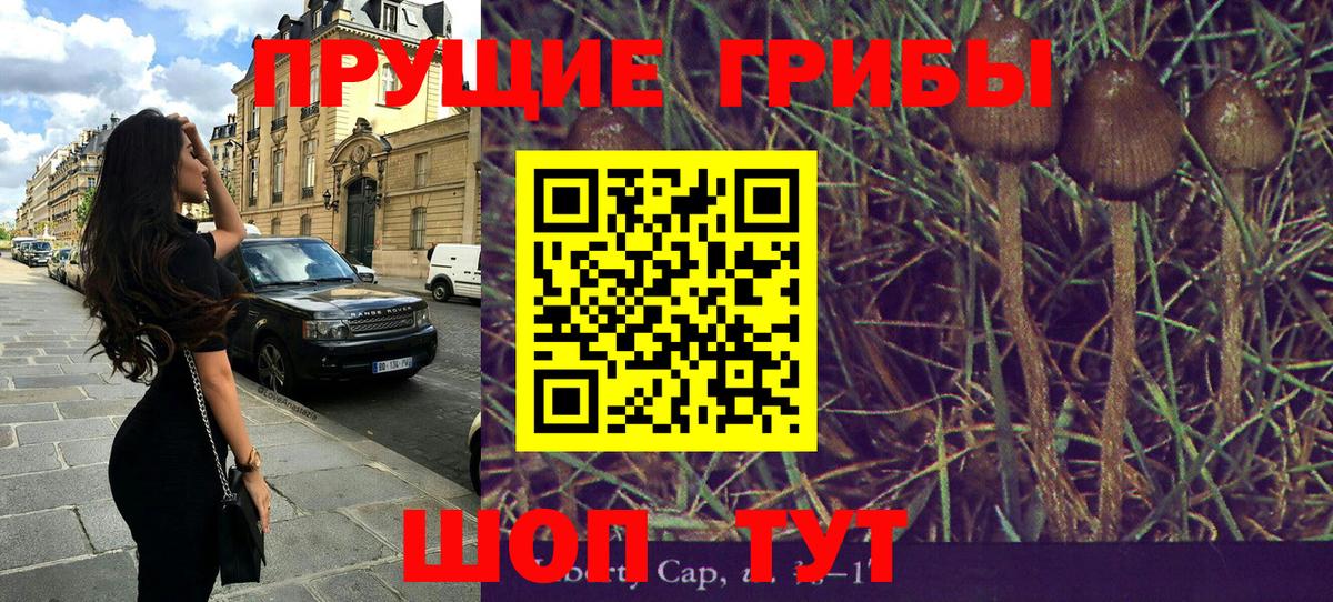Псилоцибиновые грибы мицелий Серпухов