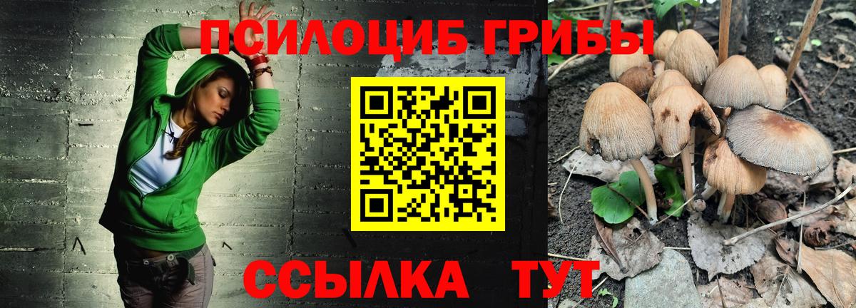 Серпухов  Псилоцибиновые грибы Psilocybine cubensis  Вход с VPN 